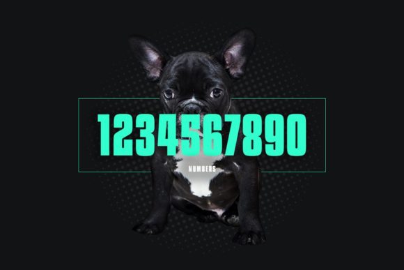 Apollonia Pro Font - Preview 2
