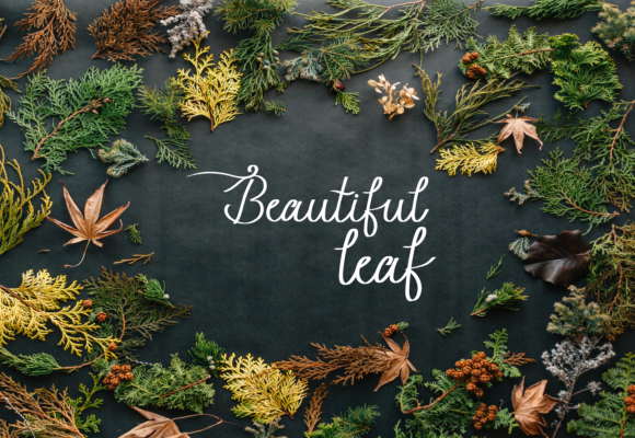 Beauty Lope Font - Preview 5