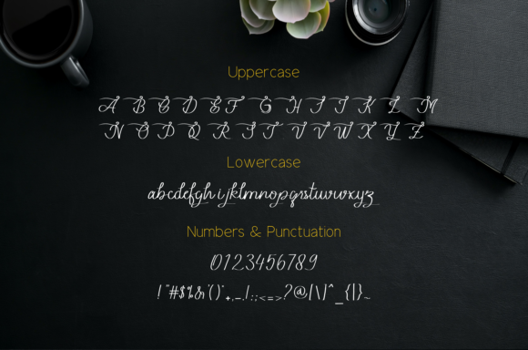 Beauty Lope Font - Preview 6