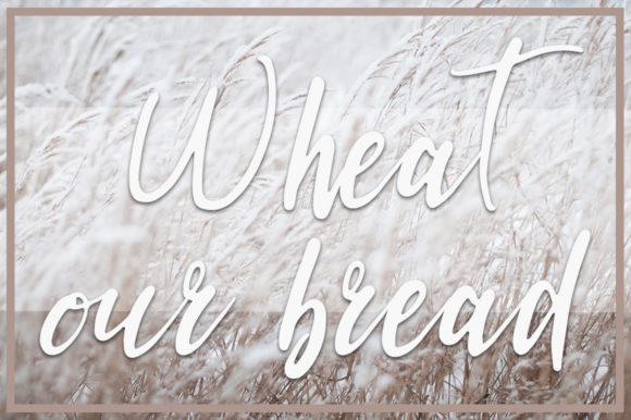 Kalmaros Font PNG with transparent background - Preview 4