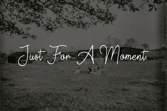 Last Hours Font PNG with transparent background - Preview 2