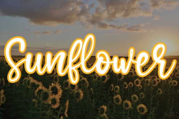 Sunflower handwritten font preview