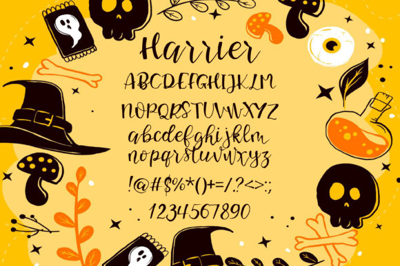 Harrier Font - Preview 1