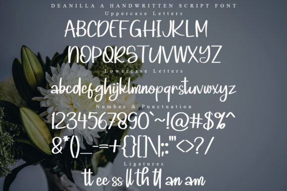 Deanilla Font - Preview 5