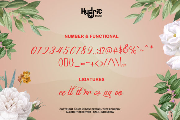 Dellancy Font - Preview 4