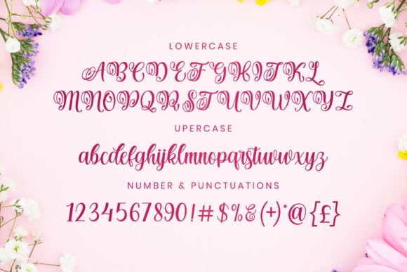 Hanitha Font - Preview 2