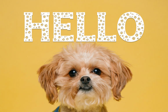 Dog Font Font - Preview 3