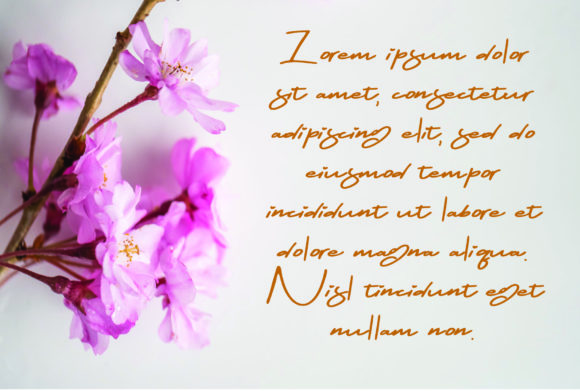 Rachmanty Font PNG with transparent background - Preview 2