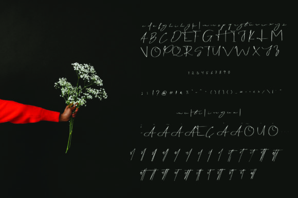 Alan Walker Font - Preview 4
