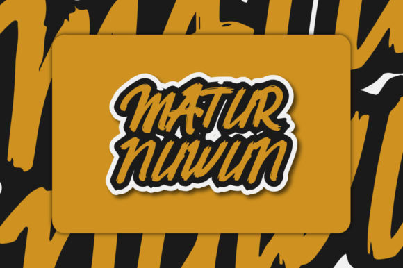 Belvana Font - Preview 4