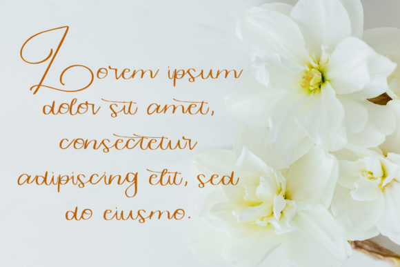 Hantaran Font - Preview 2