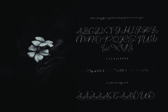 Hantaran Font - Preview 4