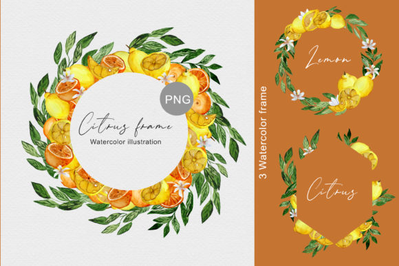 Watercolor Citrus Illustrations Set Graphic Illustrations By Julia Bogdan