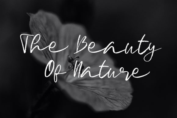 Signature Brush Font PNG with transparent background - Preview 3