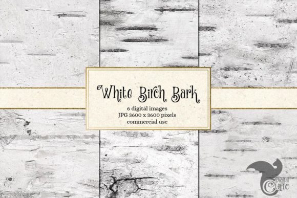 White Birch Bark Textures