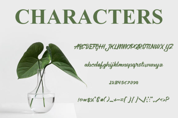 Aleena Font - Preview 3