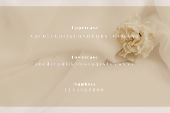 Alisson Font - Preview 1