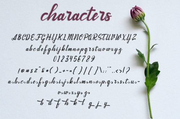 Andhewi Font PNG with transparent background - Preview 3
