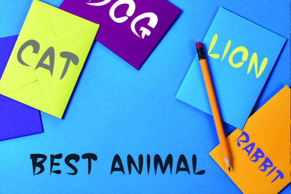 Bone Dogie Font - Preview 2