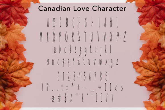 Canadian Love Font - Preview 4