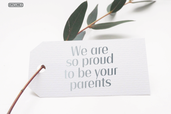 Cats and the City Font - Preview 3