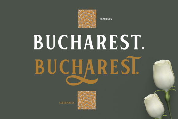 Florenia Font PNG with transparent background - Preview 3