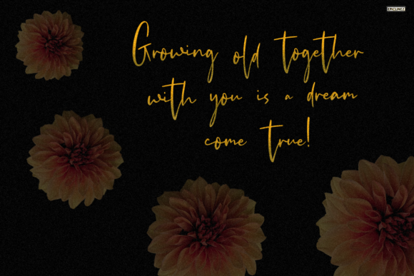 Moonlight in Tokyo Font PNG with transparent background - Preview 5