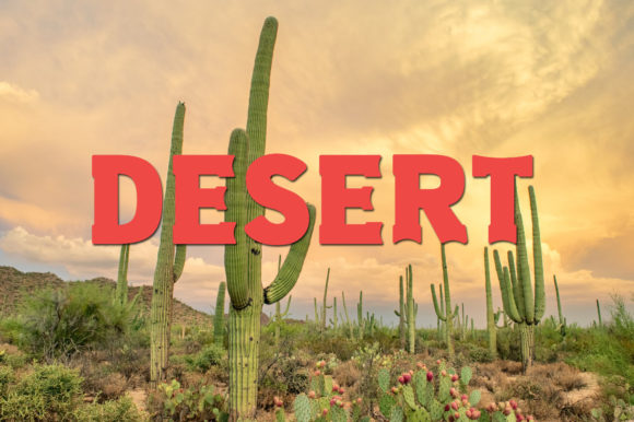 Old West Font PNG with transparent background - Preview 2
