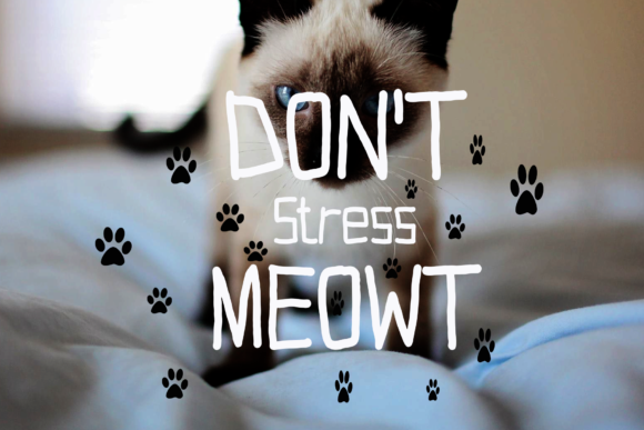 Animal Cute Font - Preview 3