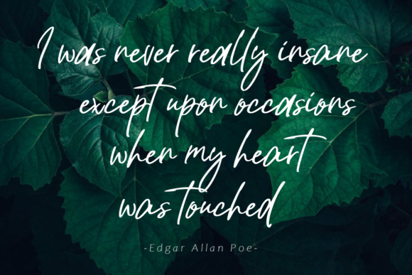 Beatrice Script Font - Preview 4