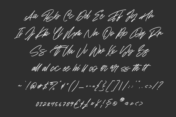 Beauty Flome Font - Preview 5