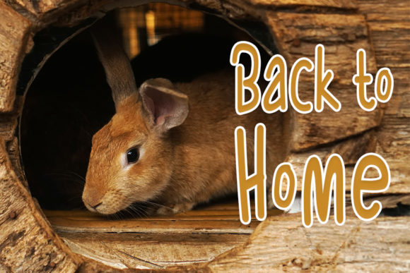 Rabbit Tile Font PNG with transparent background - Preview 3