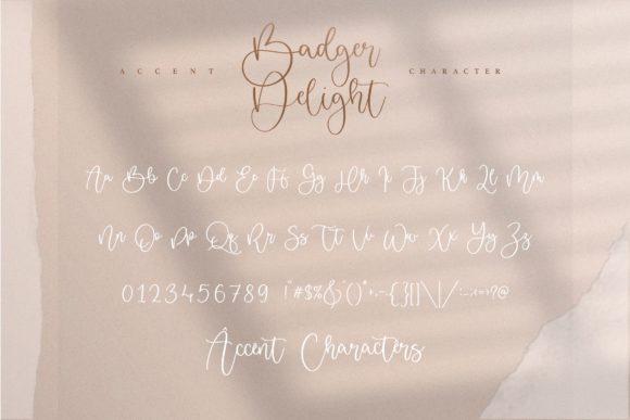 Badger Delight Font - Preview 4
