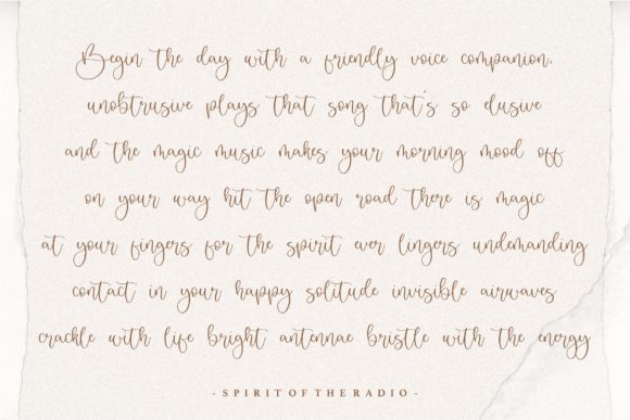 Badger Delight Font - Preview 5