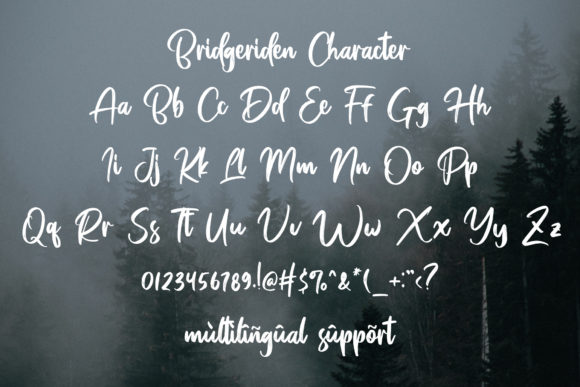 Bridgeriden Font - Preview 5