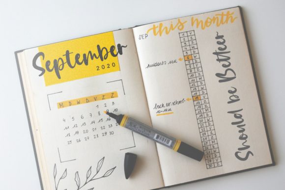 Daily Feather Font PNG with transparent background - Preview 2