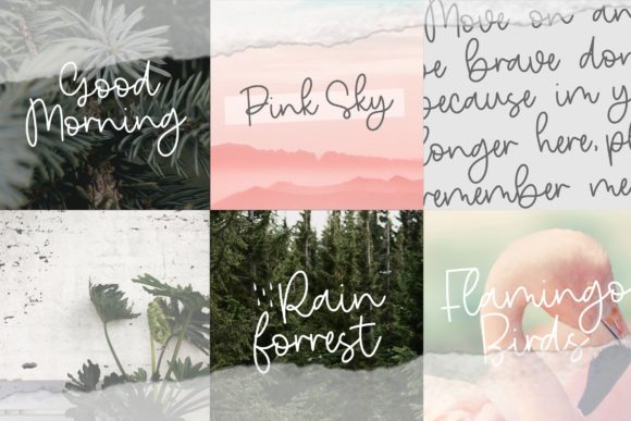 Nature Violces Font PNG with transparent background - Preview 1