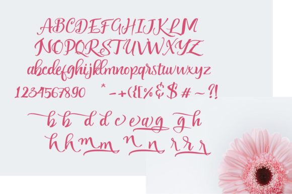 Any Wishes Font - Preview 6