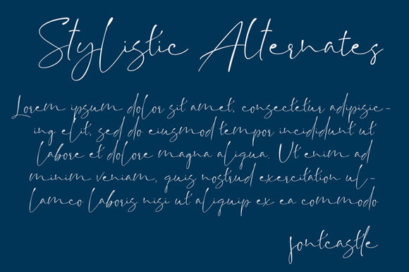 Backwash Font - Preview 1