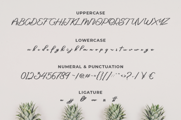 Sepeda Janda Font PNG with transparent background - Preview 5