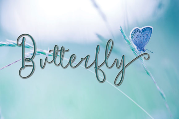 Shintia Font PNG with transparent background - Preview 2