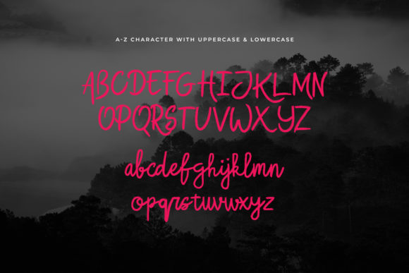 Buchero Font - Preview 2