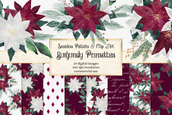Burgundy Poinsettias