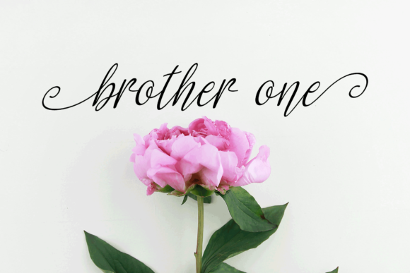 Daisy Font - Preview 2