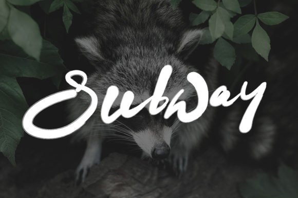 Datto Font - Preview 2