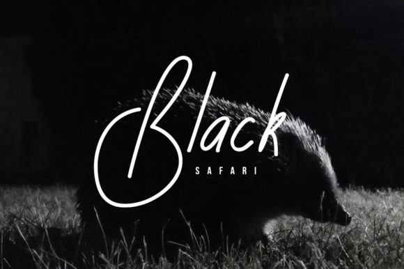 Rusa Hitam Font PNG with transparent background - Preview 2