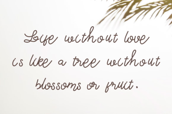 Be Love Font - Preview 2