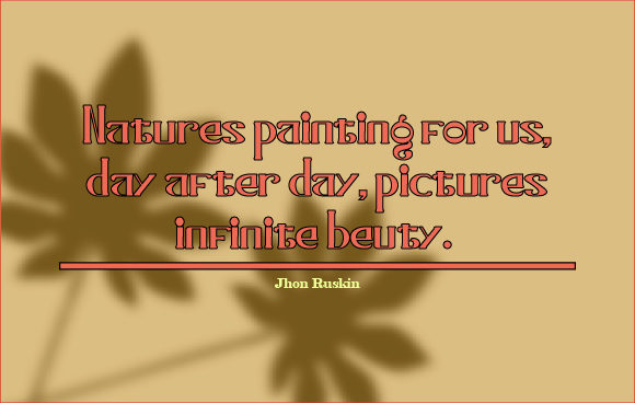 Bonnitta Font - Preview 2