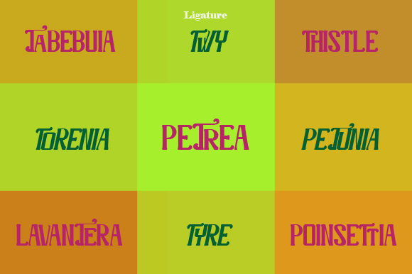 Bonnitta Font - Preview 6