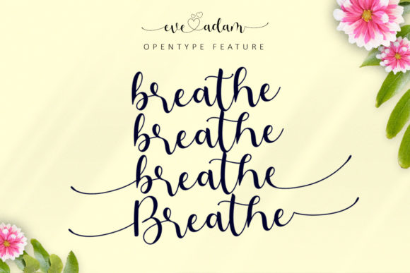 Eve Adam Font - Preview 4